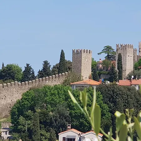 Moro 2 * Piran