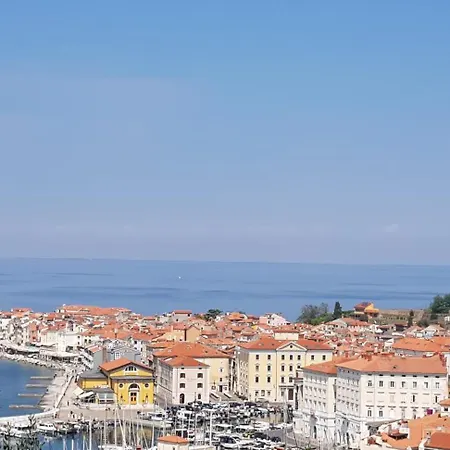 Moro 2 Piran